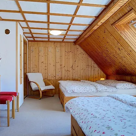 Cerny Dul-1 By Interhome